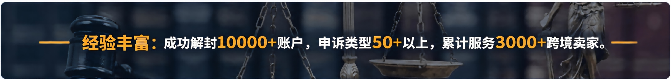 SellerAegis服务横幅