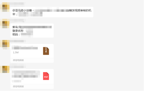 案例资料图 5
