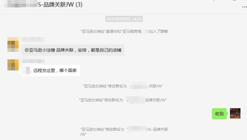 案例资料图 4