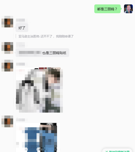 案例资料图 4