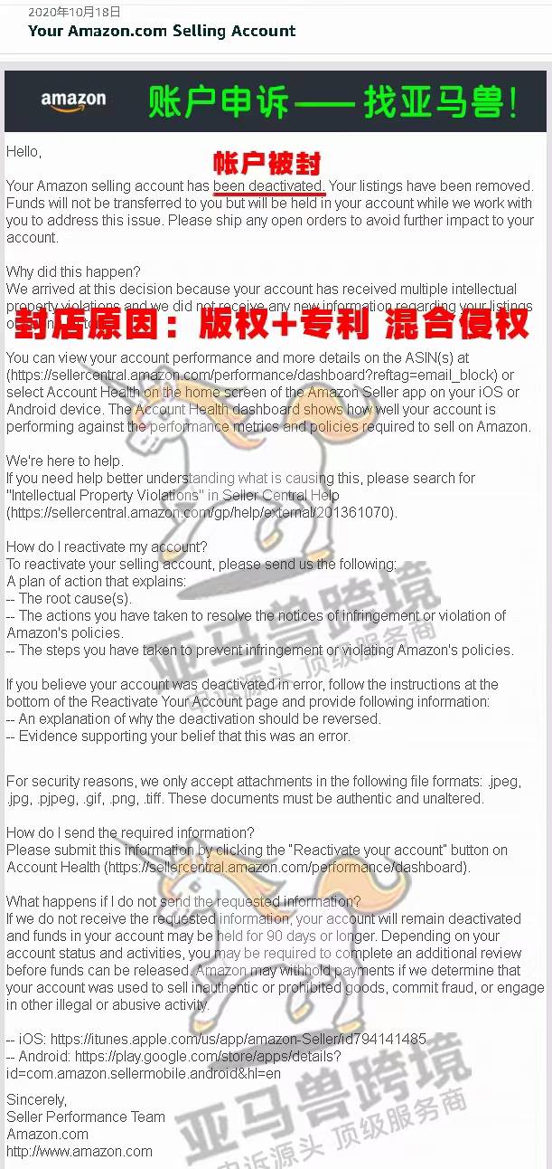 案例资料图 1