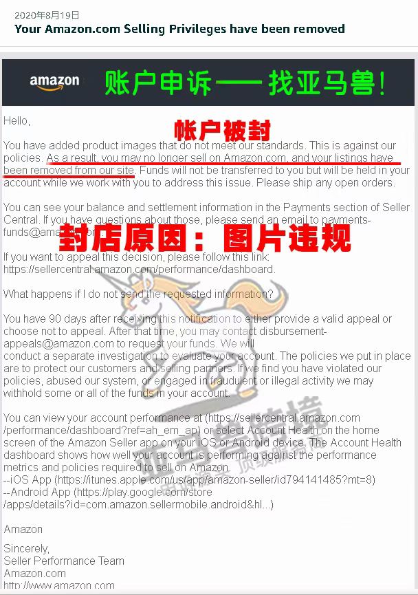 案例资料图 2