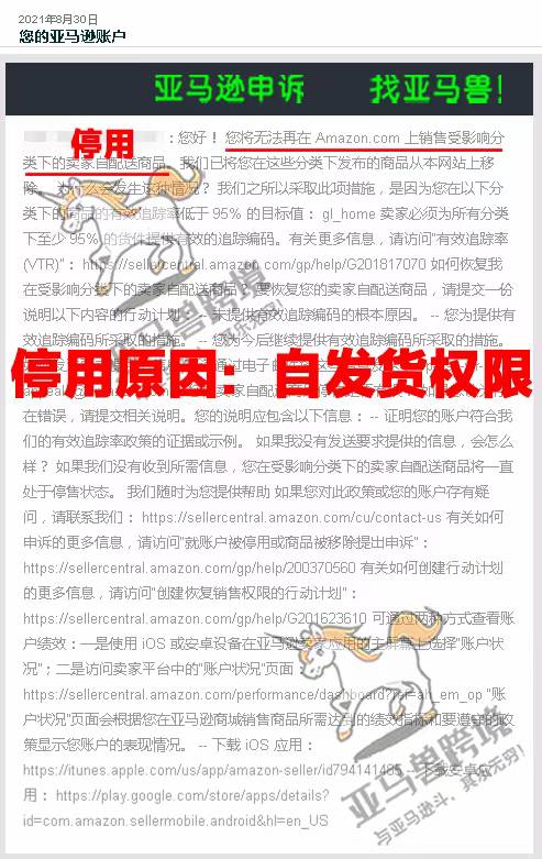 案例资料图 1