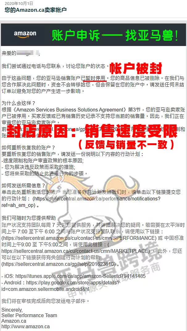 案例资料图 1